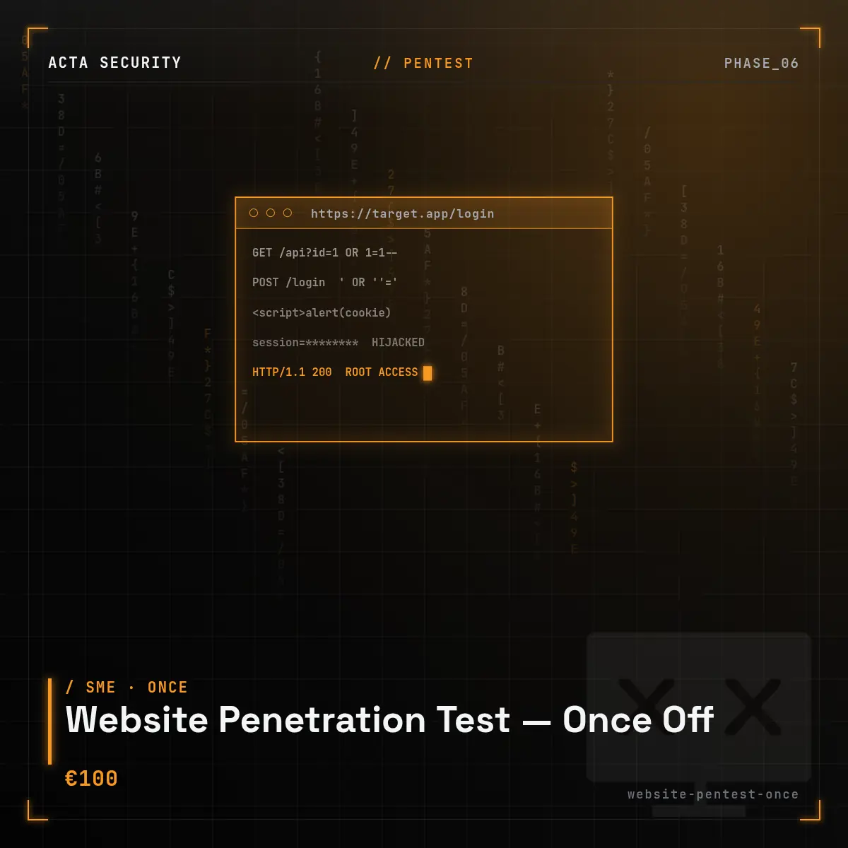 Website Penetration Test — Once Off
